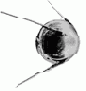ARPANET -  