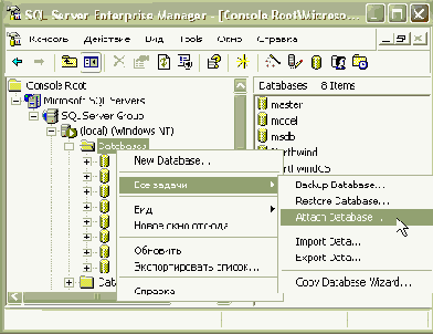  Microsoft ADO.NET
