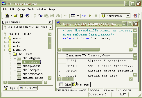  Microsoft ADO.NET

