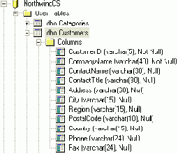  Microsoft ADO.NET

