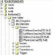  Microsoft ADO.NET
