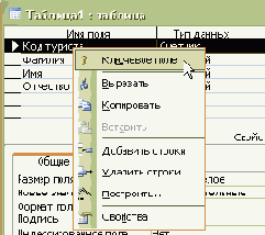  Microsoft ADO.NET
