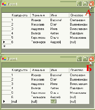  Microsoft ADO.NET
