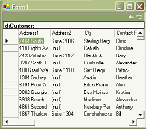  Microsoft ADO.NET
