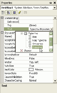  Microsoft ADO.NET
