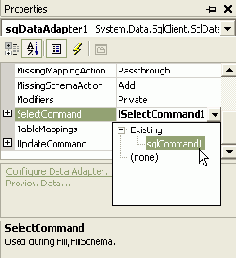  Microsoft ADO.NET
