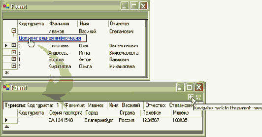  Microsoft ADO.NET
