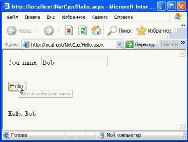   Microsoft.NET?
