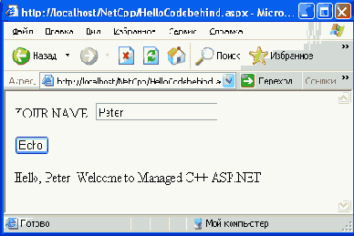   Microsoft.NET?
