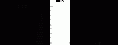 ISaGRAF. Version 3.4
